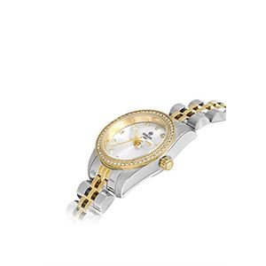 org_638700348965763617.jpg